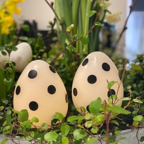 LED lihavõttemuna sees Valge mustade täppidega 2 tk. Deluxe Homeart 1